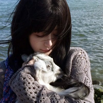 公猫